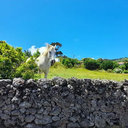 Lost In Thyme Lajes do Pico