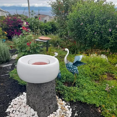 Lost In Thyme Homestay *