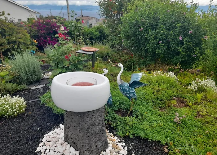 Lost In Thyme Rum i privatbostad *