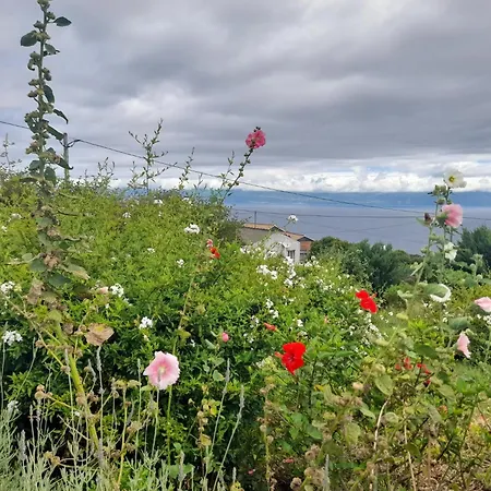 Rum i privatbostad Lost In Thyme