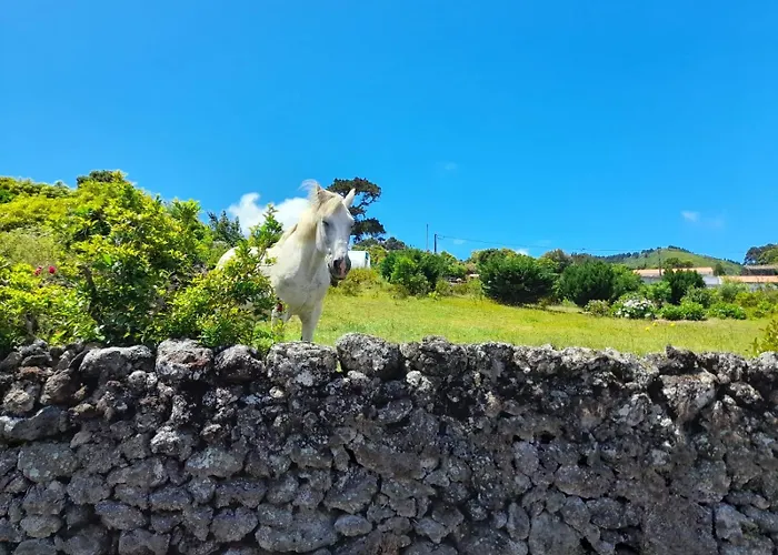 Lost In Thyme Lajes do Pico