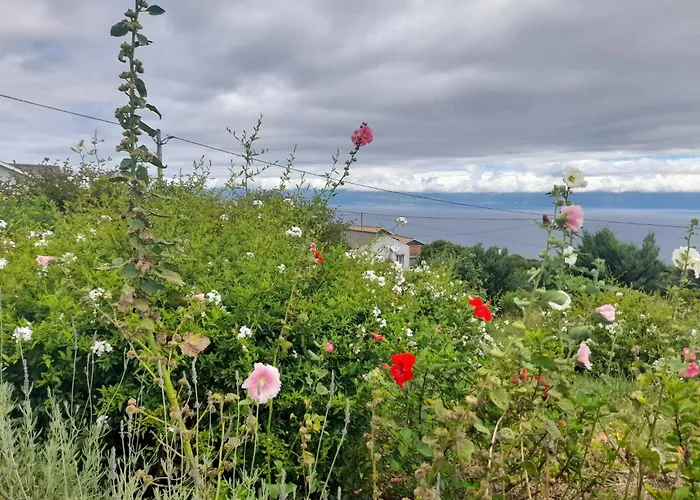 Quarto em Acomodações Particulares Lost In Thyme